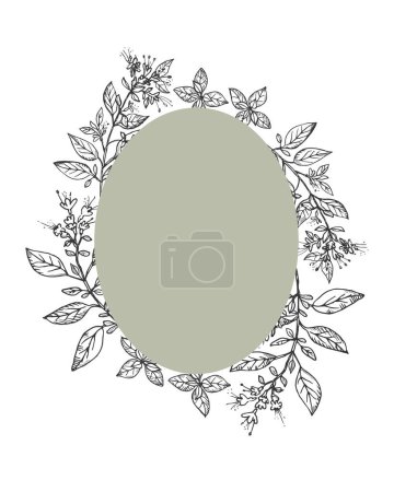 Illustration for Oregano plant frame border background for text vector illustration. Hand drawn with engraving spicy herb with leaves for cooking, cosmetics, medicinal, aroma. Design for label, print, template, logo - Royalty Free Image