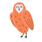 Owl bird flat vector illustration hand drawn design for Happy Owl Day greeting, print, poster, t-shirt, card, paper, flyer, icon, logo. Cute animal, wild fauna, mystica, wisdom symbol