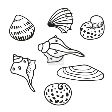 Illustration for Seashells sketch vector set hand drawn vector illustration. Collection of line art ink sketches various mollusk sea shells different forms design for logo, sign, wrapping, label, decor, print, paper - Royalty Free Image