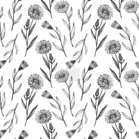 Téléchargez les illustrations : Calendula plante motif sans couture répétant fond dessiné à la main feuilles de fleur de marguerite médicinale vecteur gravé toile de fond Croquis botanique pour le thé, cosmétique biologique, médecine aromathérapie textile - en licence libre de droit