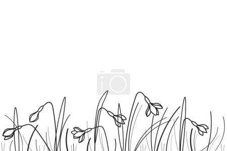 Illustration for Field with wildflowers snowdrops plants ink sketch hand drawn banner white background vector illustration. Design  floral pattern with black line silhouette of glade snowdrops flowers, spring texture - Royalty Free Image