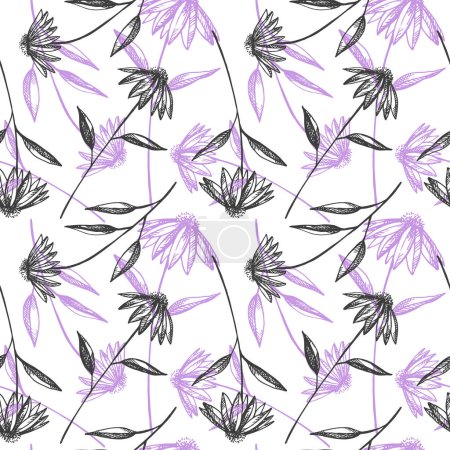 Illustration for Echinacea flowers sketch in seamless pattern hand drawn repeating background vector illustration with floret leaves. Design herbal engraved botanical plant backdrop for tea, organic cosmetic, medicine - Royalty Free Image
