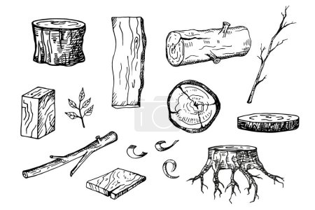Wooden material for wood industry hand drawn ink sketch isolated vector illustration. Tree lumber, engraved graphic of firewood material, timber, trunk, stump and plank, wooden firewood logs, wood log