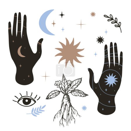 Magic set with mystical hands, sun, moon, star, plant, mandrake flowers, leaf, all-seeing eye hand drawn isolated vector illustration. Design boho background for print, card, paper, logo, paper, sign