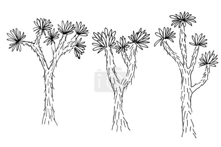 Joshua tree ink sketch hand drawn vector illustration on isolated background. Minimalist line art of yucca plant, desert nature of American southwest. Design element for card, label, logo, paper, sign