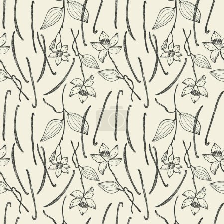 Vanilla plant with sticks flower repeating background. Hand drawn seamless pattern with vanilla branch, leaf. Design for template, label, card, textile, wrapping, banner. Vector engraved illustration