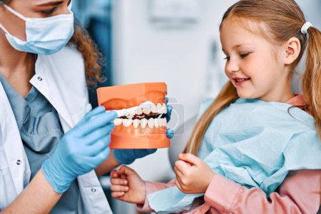 La dentisterie pour enfants. Image recadrée de l'infirmière tenant la maquette de la mâchoire et montrant à l'enfant sur la maquette comment se brosser correctement les dents.