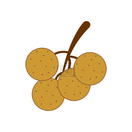 Illustration for Longan fruit icon vector symbol isolated illustrations white background - Royalty Free Image