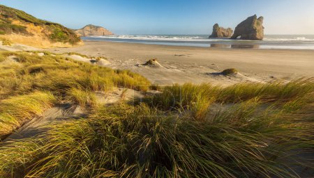 Téléchargez les photos : Wharariki Beach est une plage sur la mer de Tasman, à l'ouest du cap Farewell, le point le plus au nord de l'île du Sud de la Nouvelle-Zélande - en image libre de droit