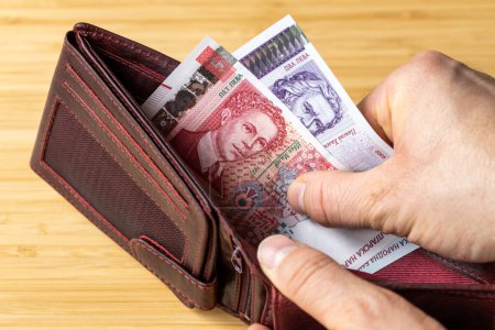 Hand holt Geld aus der Brieftasche, Bulgarien Banknoten, Wirtschafts- und Finanzkonzept, steigende Preise, bulgarischer Lew-Wert