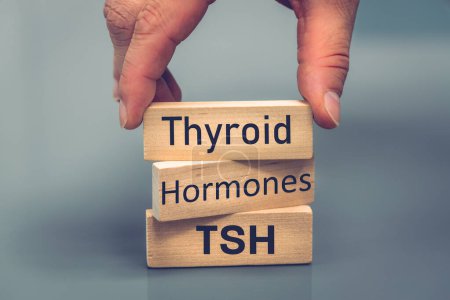 tiroides, hormonas, tsh, concepto de salud, estudio de la glándula endocrina, sistema endocrino humano, equilibrio energético, regulación del metabolismo, hiper e hipotiroidismo