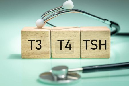 TSH, Diagnose von Schilddrüsenerkrankungen, ärztliche Untersuchung von t3 und t4, Produktion und Sekretion von Hormonen, Schilddrüsenunterfunktion oder Schilddrüsenüberfunktion, Holzblöcke mit Text. Regelmäßige Gesundheitsprüfung