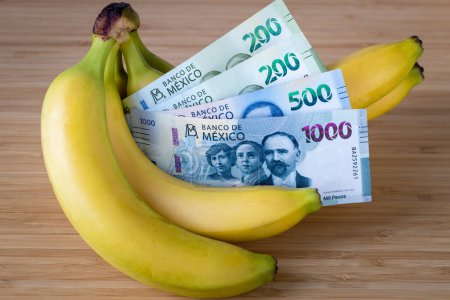 Foto de México, Bananas con billete de 1000 pesos, Concepto de negocio y producción de bananos en México, Exportación, Productor mundial - Imagen libre de derechos