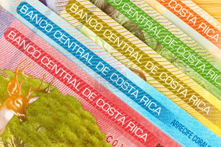 Costa Rica dinero, plano laico, primer plano, todos los billetes, concepto financiero