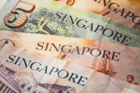 Singapore dollar, Several banknotes, Financial concept