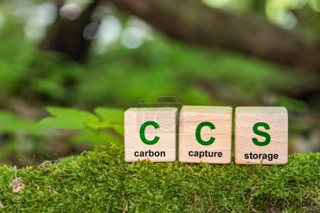 Symbol CCS für Carbon Capture Storage Wörter CCS auf einem Holzwürfel vor dem Hintergrund der Umwelt. Handlungskonzept Net Zero. grüne Energie, Reduzierung des CO2-Fußabdrucks, Energie sparen, Kohlendioxid.