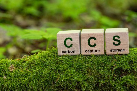 Símbolo CCS para la captura de carbono Palabras de almacenamiento CCS en un cubo de madera en el fondo ambiental. Concepto neto de acción cero. energía verde, reducir la huella de carbono, Ahorrar energía, dióxido de carbono.