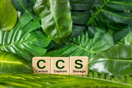 Symbol CCS für Carbon Capture Storage Wörter CCS auf einem Holzwürfel vor dem Hintergrund der Umwelt. Handlungskonzept Net Zero. grüne Energie, Reduzierung des CO2-Fußabdrucks, Energiesparen, CO2-Abscheidung.