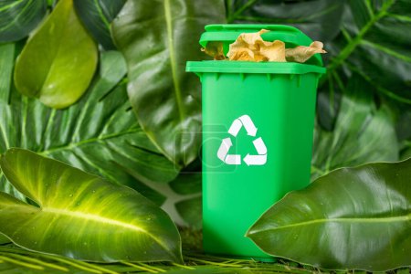 Grüner Abfalleimer mit Recycling-Symbol inmitten des natürlichen, üppigen Grüns des Regenwaldes, Umweltkonzept, nachhaltige Entwicklung, Green Deal, naturfreundliche, biologisch abbaubare Produkte