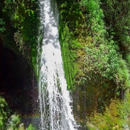 Photo for A waterfall in a natural forest - Royalty Free Image