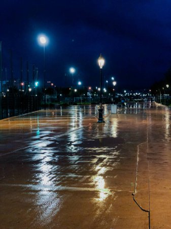 Téléchargez les photos : A rainy evening in a public park. A walk through nature - en image libre de droit