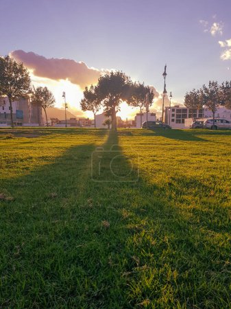 Photo for Green grass and sunsets a perfect combination for environmental health - Royalty Free Image