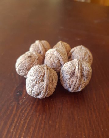 Photo for A view of walnut seeds a journey in cultivation and nutrition - Royalty Free Image