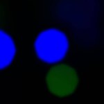  Abstract area, barrier, blur, blurred, bokeh colored, bright, bright blue,