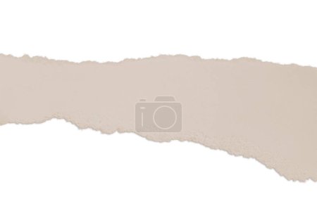 Ripped beige paper. Nude. Contrast. isolated.