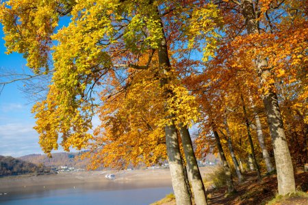 Téléchargez les photos : Lac en automne avec forêt d'automne colorée et peu de maisons en arrière-plan. Photo de haute qualité - en image libre de droit