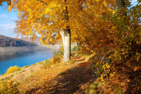 Téléchargez les photos : Lac en automne avec forêt d'automne colorée et peu de maisons en arrière-plan. Photo de haute qualité - en image libre de droit