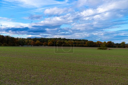 Photo for Island with autumn trees in front of a field. High quality photo - Royalty Free Image