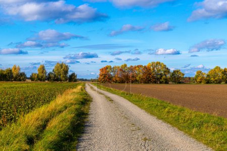 Photo for Dirt road in autumn with blue sky. High quality photo - Royalty Free Image