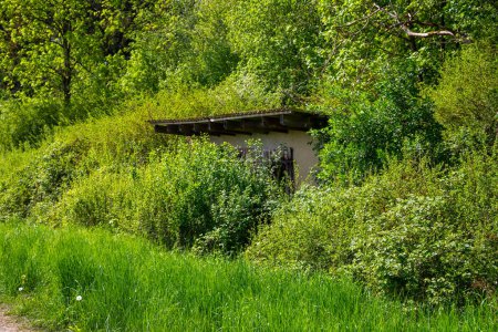Téléchargez les photos : Une vieille cabane cachée dans le fourré et envahie par la végétation. Photo de haute qualité - en image libre de droit