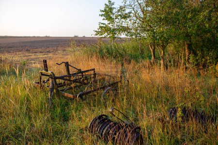 Photo for Old rusted plow in high grass. High quality photo - Royalty Free Image