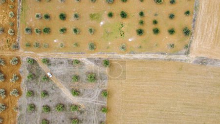 Foto de Maravillosas vistas de los campos de cultivo españoles - Imagen libre de derechos