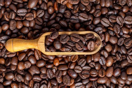 Foto de Top quality coffee beans ready to be milled - Imagen libre de derechos