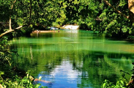 Téléchargez les photos : Vue sur les majestueuses cascades turquoises à Agua Azul au Chiapas, Mexique - en image libre de droit