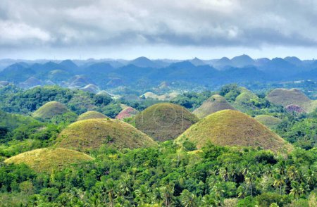 Chocolate hills, Bohol island, Philippines