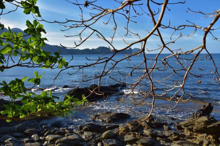 Foto de Hermosa vista del mar en la isla de Palawan, Filipinas - Imagen libre de derechos