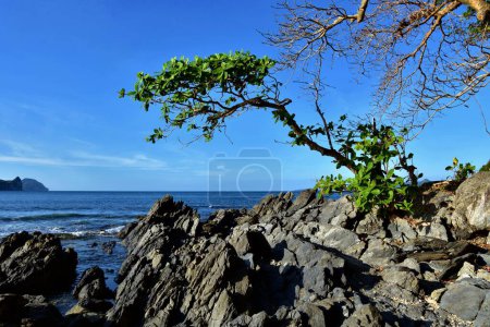 Foto de Vista panorámica de la laguna de El Nido en la isla de Palawan, Filipinas - Imagen libre de derechos