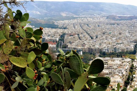 Photo for Beautiful panoramic view of  Athens from the top of Lycabettus Hill - Royalty Free Image