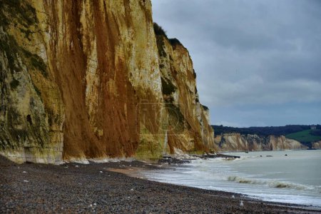 Téléchargez les photos : Belles falaises blanches près de la Manche. - en image libre de droit