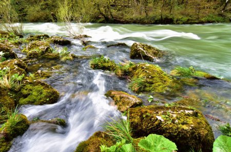 Téléchargez les photos : Belle rivière forestière Valserine au printemps au Rhône-Alpes, France - en image libre de droit