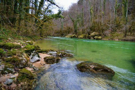 Photo for Beautiful forest river Valserine in springtime at Rhone-Alpes, France - Royalty Free Image