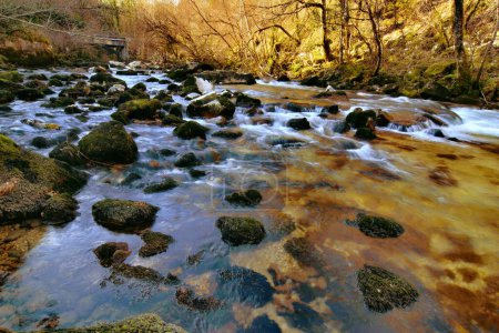 Téléchargez les photos : Belle rivière forestière Valserine au printemps au Rhône-Alpes, France - en image libre de droit