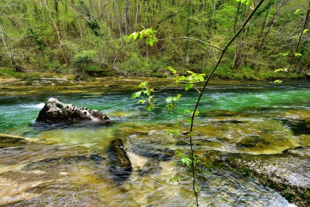 Téléchargez les photos : Rivière Valserine en Rhône-Alpes, France au printemps - en image libre de droit