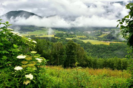 Téléchargez les photos : Région Auvergne Rhône Alpes. Commune de Magland dans le département de la Haute-Savoie. Paysage d'été - en image libre de droit