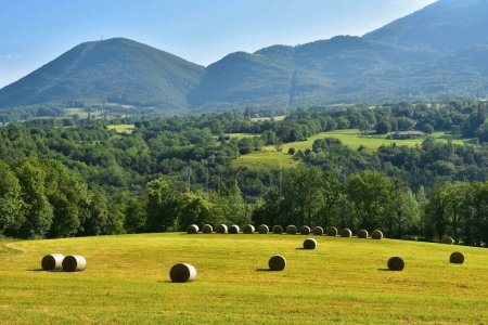 Téléchargez les photos : Région Auvergne Rhône Alpes. Commune de Magland dans le département de la Haute-Savoie. Paysage d'été - en image libre de droit