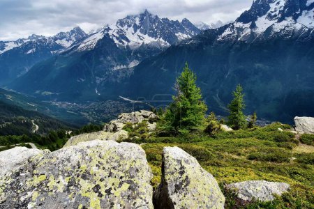 Téléchargez les photos : Paysage alpin avec les montagnes du Mont Blanc en été à partir de Plan Praz - en image libre de droit